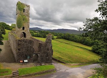 ireland/county-tipperary/attraction/moor-abbey