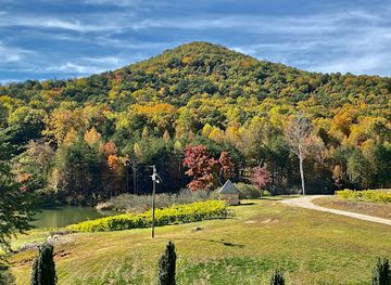 south-carolina/sandhills/attraction/victoria-valley-vineyards