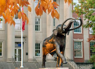 nebraska/lincoln/attraction/university-of-nebraska-state-museum-morrill-hall
