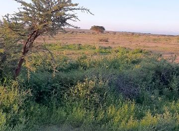 somalia/shimbiris-mountain/attraction/xabow