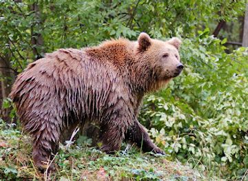 hungary/cserehat/attraction/miskolc-zoo