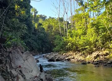 trinidad-and-tobago/sangre-grande/attraction/madamas-river