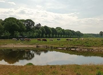 netherlands/north-brabant/attraction/de-maashorst