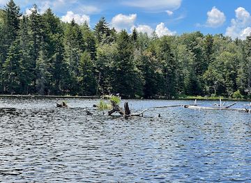 vermont/camel-s-hump-state-park/attraction/woodford-state-park