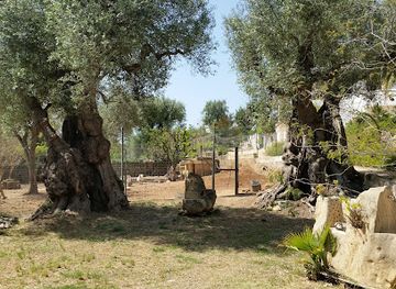 italy/puglia/attraction/farfalia-casa-delle-farfalle