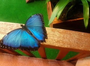 poland/tatra-mountains/attraction/motylarnia-zakopane