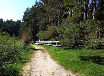 poland/roztocze-national-park/attraction/platformy-widokowe