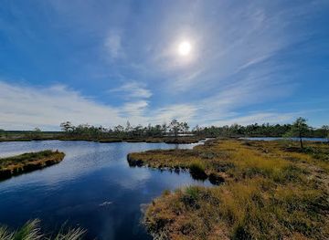 latvia/pape-nature-reserve/attraction/dunika-bog