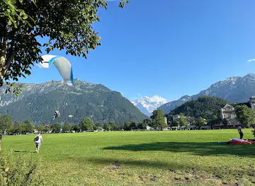 Grand Tour of Switzerland Foto Point - Höhematte Interlaken
