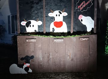 california/central-california/attraction/christmas-tree-lane-turlock