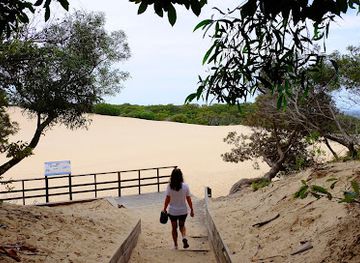 australia/great-sandy-national-park/attraction/cooloola-great-walk