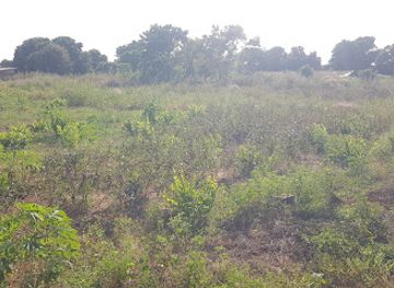 the-gambia/kunta-kinteh-island/attraction/conteh-kunda-b-s-garden