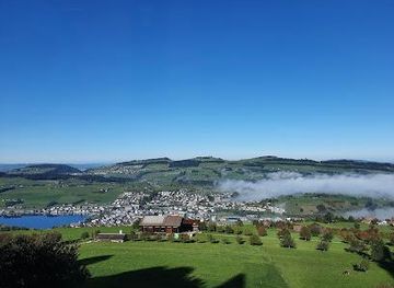 switzerland/zurich/attraction/seebodenalp