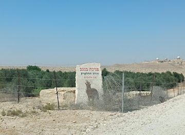 israel/negev-desert/attraction/penina-bnegev