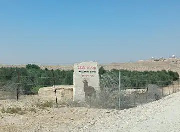 פנינה בנגב