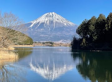 japan/mount-fuji/attraction/tanuki-lake