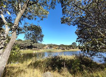 zimbabwe/mashonaland-east/attraction/twala-trust-animal-sanctuary