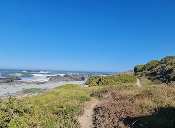 south-africa/west-coast-national-park/attraction/schaap-island