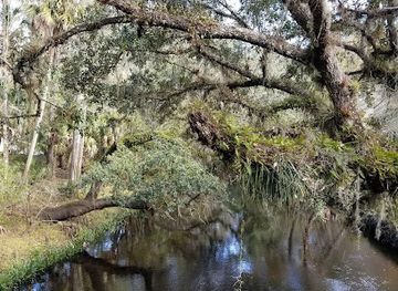 florida/nature-coast/attraction/fort-foster-state-historic-site