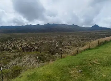 Northern Andean páramo
