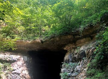 indiana/hoosier-national-forest/attraction/donaldson-cave