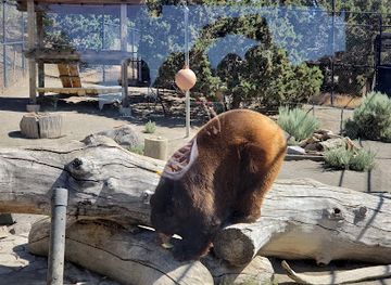 nevada/reno/attraction/animal-ark