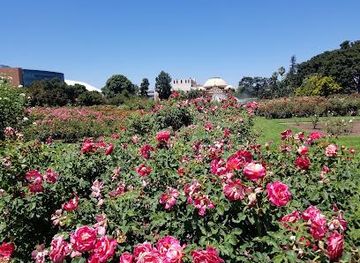 california/los-angeles/attraction/exposition-park-rose-garden