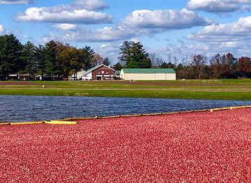 wisconsin/northwoods/attraction/rooted-in-red
