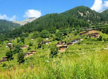 pakistan/swat/attraction/chukail-meadows
