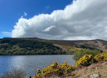 ireland/county-wicklow/attraction/lough-dan