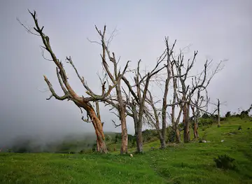 Pic Macaya National Park