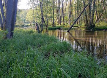 poland/masurian-lake-district/attraction/marozka