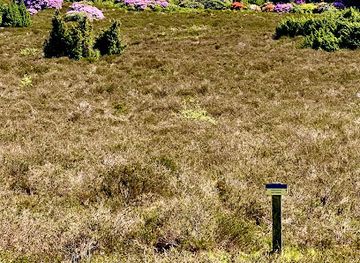 netherlands/sallandse-heuvelrug-national-park/attraction/sprengenberg-haarle