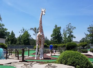 virginia/assateague-island/attraction/funland-amusements