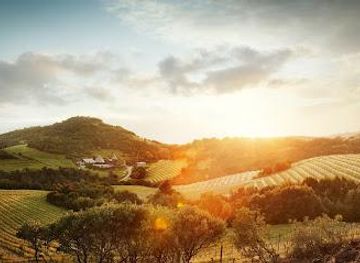 california/napa-valley/attraction/repris-wines-by-reservation-only