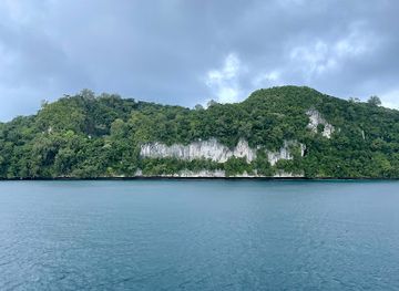 palau/angaur/attraction/frog-wall