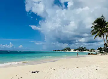 Koala Beach