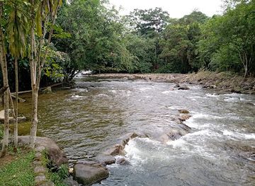 brazil/serra-da-bocaina-national-park/attraction/cachoeira-sertao-do-taquari