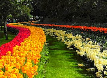 netherlands/keukenhof-gardens/attraction/beatrix-pavilion-orchids-anthurium-show
