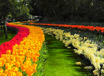 Beatrix Pavilion - Orchids & Anthurium Show