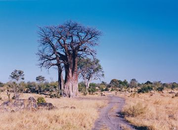 botswana/linyanti-wildlife-reserve/attraction/savuti-chobe-np