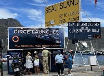 south-africa/cape-town/attraction/hout-bay-seal-island-cruise