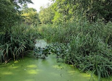 united-kingdom/london/attraction/camley-street-natural-park-london-wildlife-trust