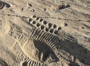 qatar/al-thakira-mangroves/attraction/al-jassasiya-rock-art-site