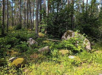 estonia/kärdla/attraction/helmerseni-kivikulv