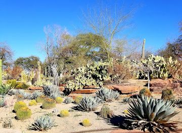 nevada/clark-county/attraction/ethel-m-botanical-cactus-garden