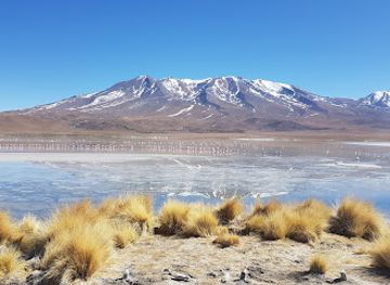 bolivia/altiplano/attraction/laguna-hedionda