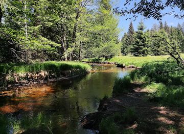 germany/bavarian-forest-national-park/attraction/goldwaschplatz