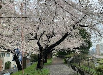 japan/tokyo/attraction/sotobori-park