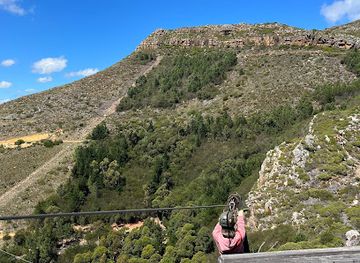 south-africa/cape-town/constantia/attraction/cape-town-ziplines-sa-forest-adventures